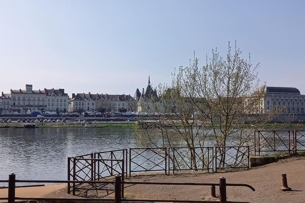 Les Marronniers Appartement Centre Saumur Bord De Loire מראה חיצוני תמונה