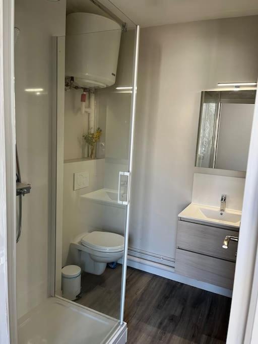 Les Marronniers Appartement Centre Saumur Bord De Loire מראה חיצוני תמונה